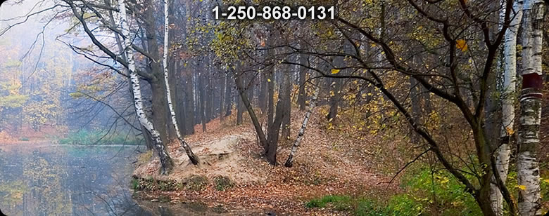 Bushcraft Canada photo