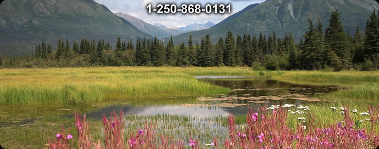 Bushcraft Canada photo