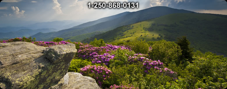 Bushcraft Canada photo