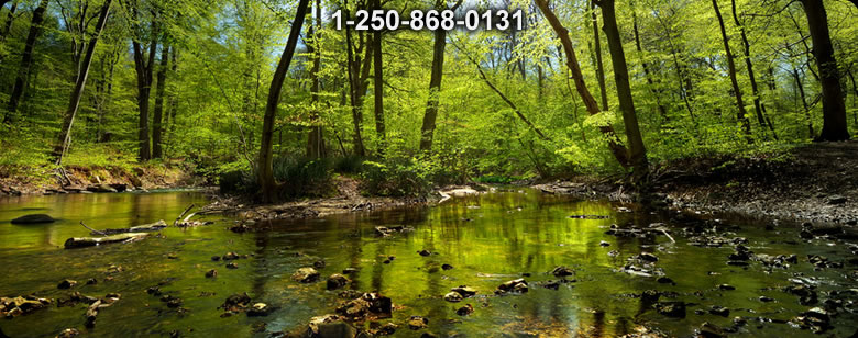 Bushcraft Canada photo