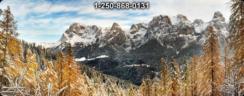 Bushcraft Canada photo