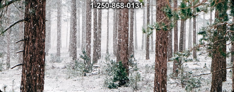 Bushcraft Canada photo