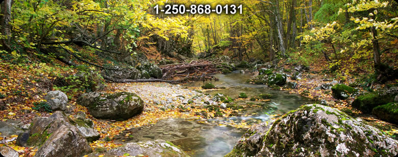 Bushcraft Canada photo