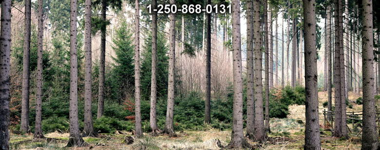 Bushcraft Canada photo