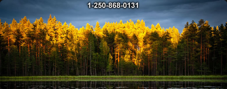 Bushcraft Canada photo