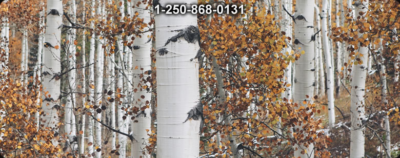 Bushcraft Canada photo